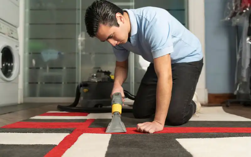 limpieza especializada