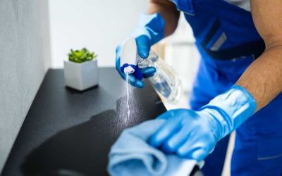 Servicios de Limpieza: Calidad Profesional para tu Espacio