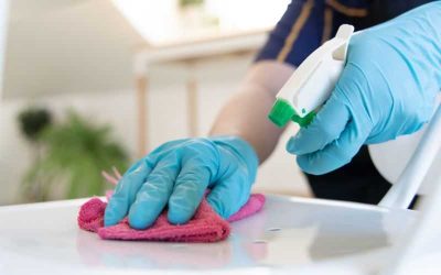 Servicios de Limpieza: Expertos en Mantenimiento y Orden